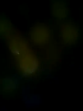 LongDickZee562 online show from 03/08/25, 10:11