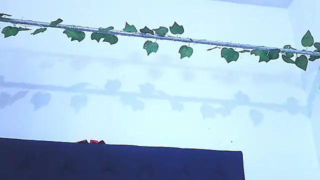 AliciaBasch online show from 01/09/25, 02:01