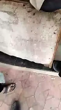 findmemylove online show from 12/22/24, 07:33