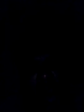 findmemylove online show from 12/29/24, 08:15