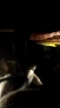 findmemylove online show from 01/07/25, 07:06