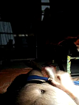 findmemylove online show from 03/01/25, 08:42