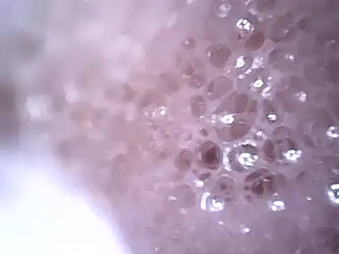 Beijing2000 online show from 12/19/24, 02:45