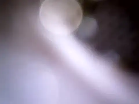 Beijing2000 online show from 01/14/25, 04:04