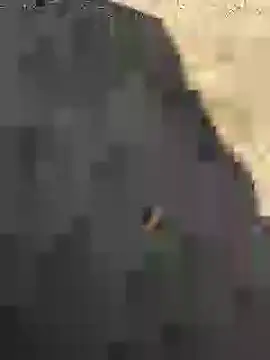 Beijing2000 online show from 01/27/25, 05:14