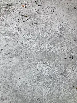 Beijing2000 online show from 10/11/25, 02:33