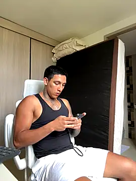 Snapshot of sendfer chatting on 11/12/25, 08:19 sendfer online show from 11/12/25, 08:19