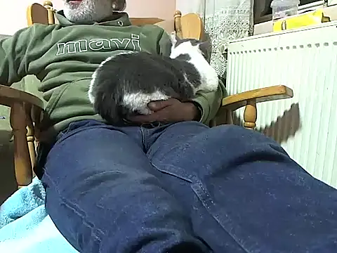 zormen355 online show from 11/13/25, 06:29