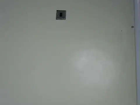 Rasta tattooed online show from 11/13/25, 12:15