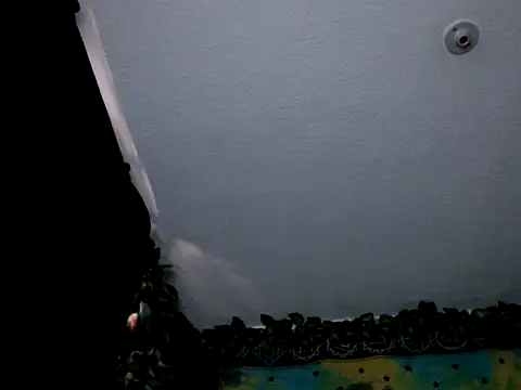 Snapshot of chanel_1041 chatting on 01/03/25, 09:36 chanel 1041 online show from 01/03/25, 09:36