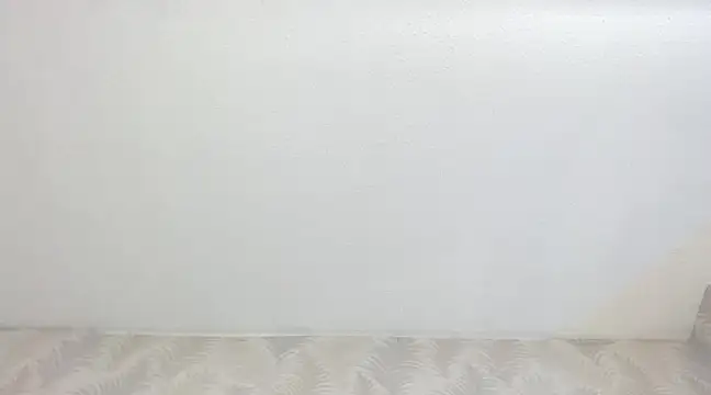 KasandraPhillips online show from 02/13/25, 10:33