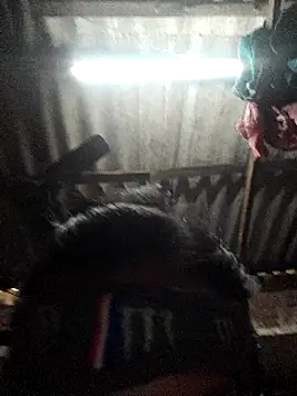 Snapshot of HotSexyBoudi chatting on 01/12/25, 08:57 HotSexyBoudi online show from 01/12/25, 08:57