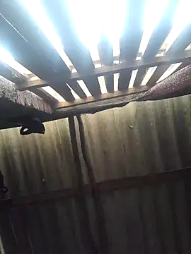 Snapshot of HotSexyBoudi chatting on 02/19/25, 09:28 HotSexyBoudi online show from 02/19/25, 09:28