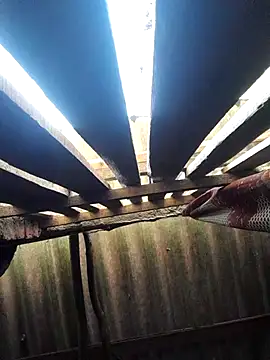 Snapshot of HotSexyBoudi chatting on 10/16/25, 08:48 HotSexyBoudi online show from 10/16/25, 08:48