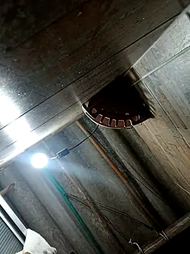 Restrepo300 online show from 10/03/25, 11:13