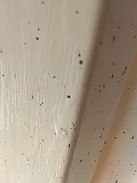 Snapshot of camila_picante chatting on 04/04/26, 02:47 camila picante online show from 04/04/26, 02:47