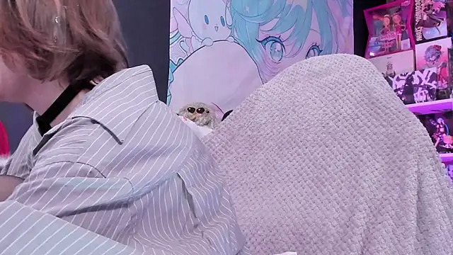 Supaidagaru online show from 04/14/26, 04:57