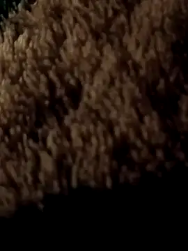 ySqmbVanbe online show from 03/07/26, 01:57