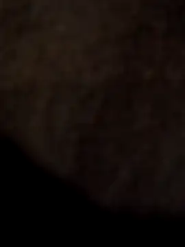 ySqmbVanbe online show from 04/11/26, 12:48