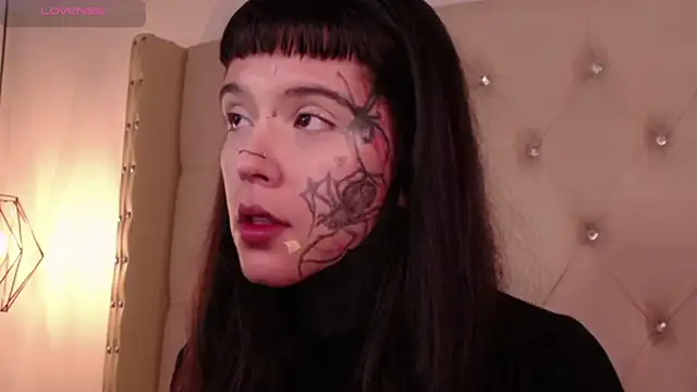 Snapshot of SylveonFox chatting on 12/22/24, 08:27 SylveonFox online show from 12/22/24, 08:27