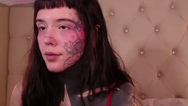 Snapshot of SylveonFox chatting on 12/24/24, 01:17 SylveonFox online show from 12/24/24, 01:17