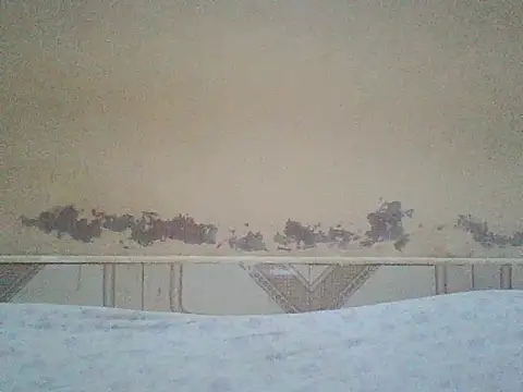 Naivegirrl online show from 06/25/26, 06:51