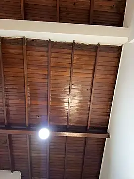 emiss  online show from 02/04/26, 03:18