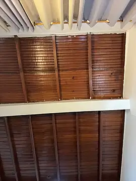 emiss  online show from 04/09/26, 07:30