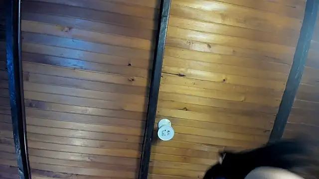 EmiliWilliams online show from 04/04/26, 11:57