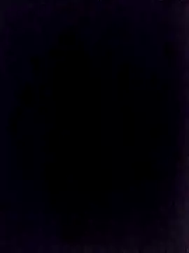 BongChannel online show from 01/01/25, 11:40