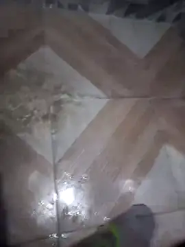 putosafado669 online show from 12/22/25, 01:19