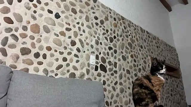 David Brown18 online show from 10/01/25, 03:45