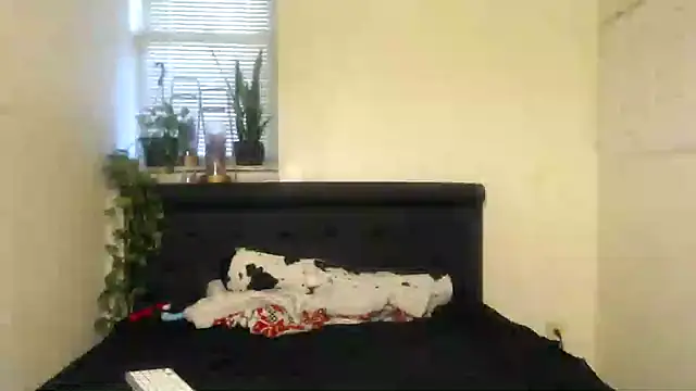 vixenpaisley2 online show from 12/07/24, 03:04