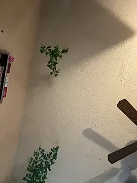 Snapshot of magicalc00ch chatting on 03/16/25, 09:37 magicalc00ch online show from 03/16/25, 09:37