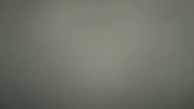 Loona-Lexxington online show from 12/04/25, 09:01