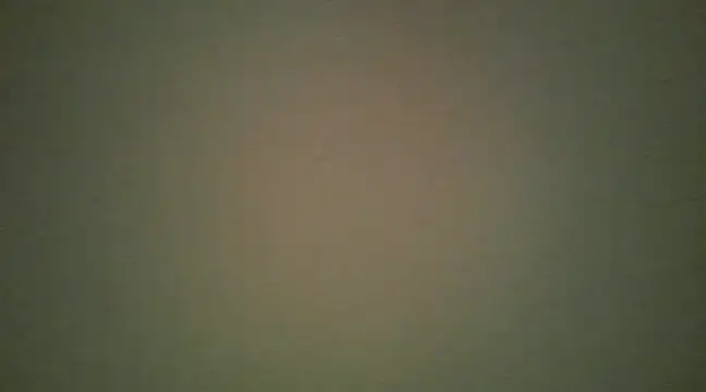 lovense test04 online show from 03/13/25, 08:37