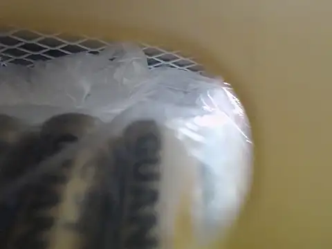 lovense test04 online show from 10/16/25, 03:51