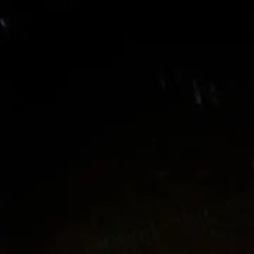 Gifttheskimaskboy online show from 02/12/26, 01:22