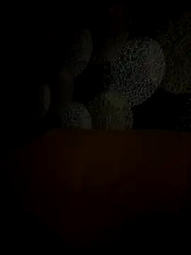 Snapshot of Kristis43 chatting on 10/31/25, 05:36 Kristis43 online show from 10/31/25, 05:36