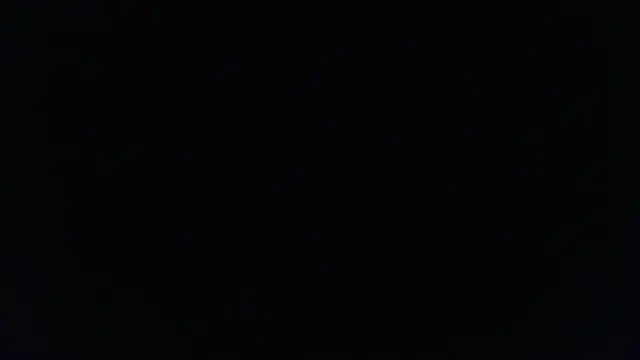 Sofii floyd  online show from 03/22/25, 03:20