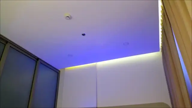 wow Mia online show from 12/24/24, 04:55