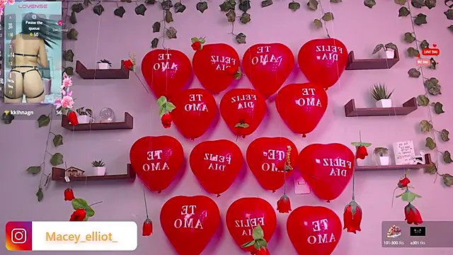 Snapshot of macey_elliot_ chatting on 02/15/25, 02:55 macey elliot  online show from 02/15/25, 02:55