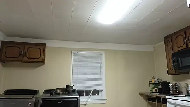 Snapshot of sexylilly69 chatting on 10/13/25, 02:00 sexylilly69 online show from 10/13/25, 02:00