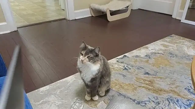 sexylilly69 online show from 04/11/26, 09:52