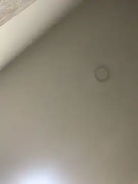 Zarah Blare online show from 01/14/25, 11:27