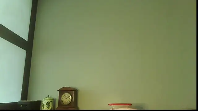 SexWorkerX online show from 11/18/25, 08:13