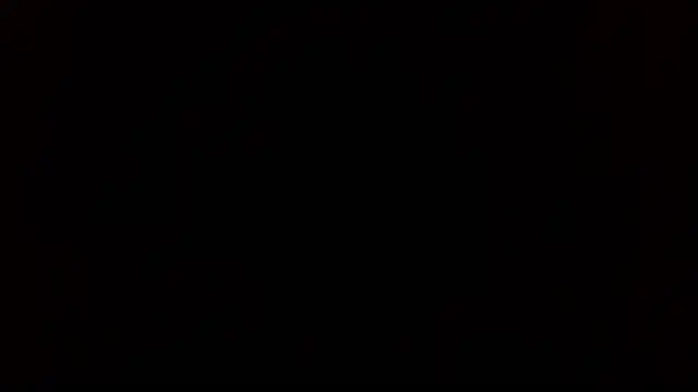 SexWorkerX online show from 11/29/25, 12:19