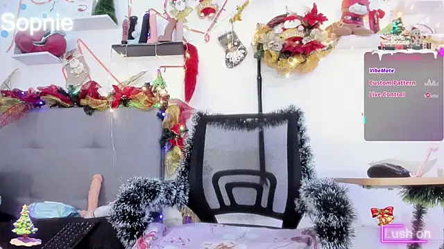 Snapshot of Sophiehuntress chatting on 12/17/24, 04:56 Sophiehuntress online show from 12/17/24, 04:56