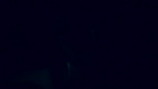 Lia Y PatrickX online show from 02/06/25, 12:16