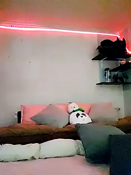 Paudelatorre online show from 02/08/26, 08:45